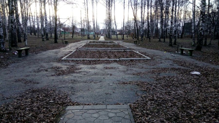 Невиданные силы оставили целый парк под Костромой без урн