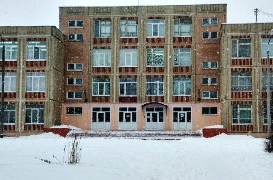 Непонятный вирус свалил учеников школы №22 в Костроме