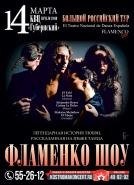 ФЛАМЕНКО ШОУ