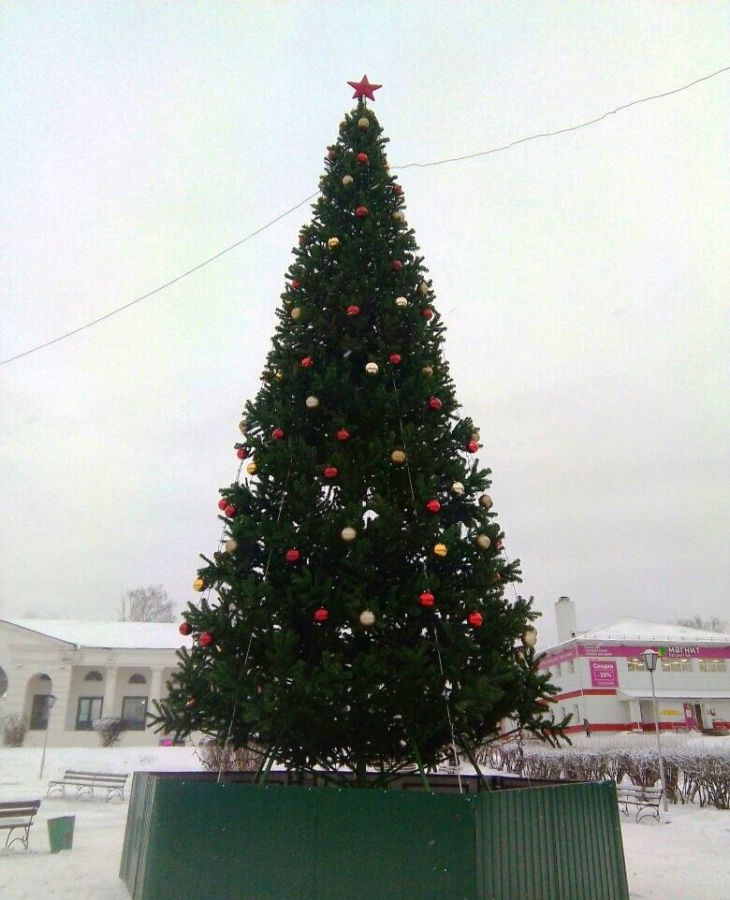 Непривычная елка возмутила жителей костромского лесного города