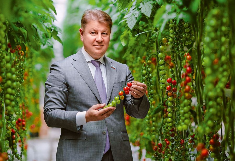 Ассоциацию по обеспечению России свежими овощами возглавил костромской депутат Алексей Ситников