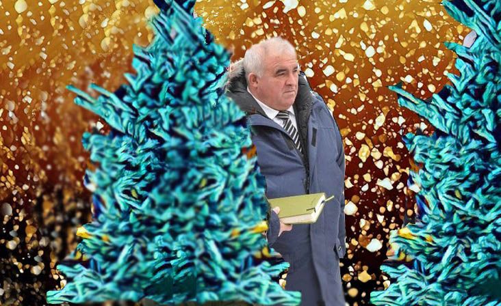 Какая елка будет у губернатора Костромской области? Мы узнали
