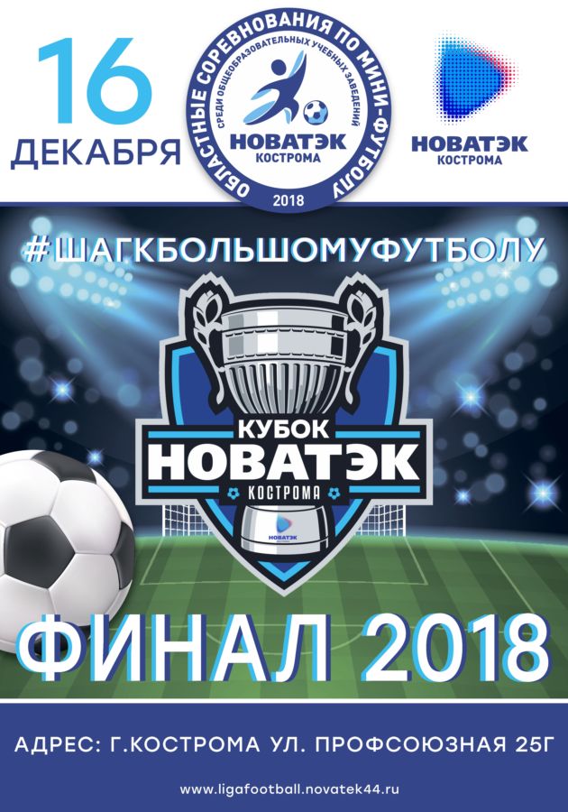 Костромские школьники сразятся в финале за главный трофей – спортивную площадку от «НОВАТЭК»