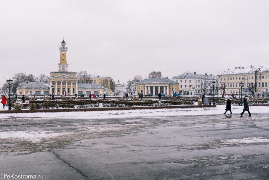 Где развлечься в Костроме в новогодние праздники: самые интересные места