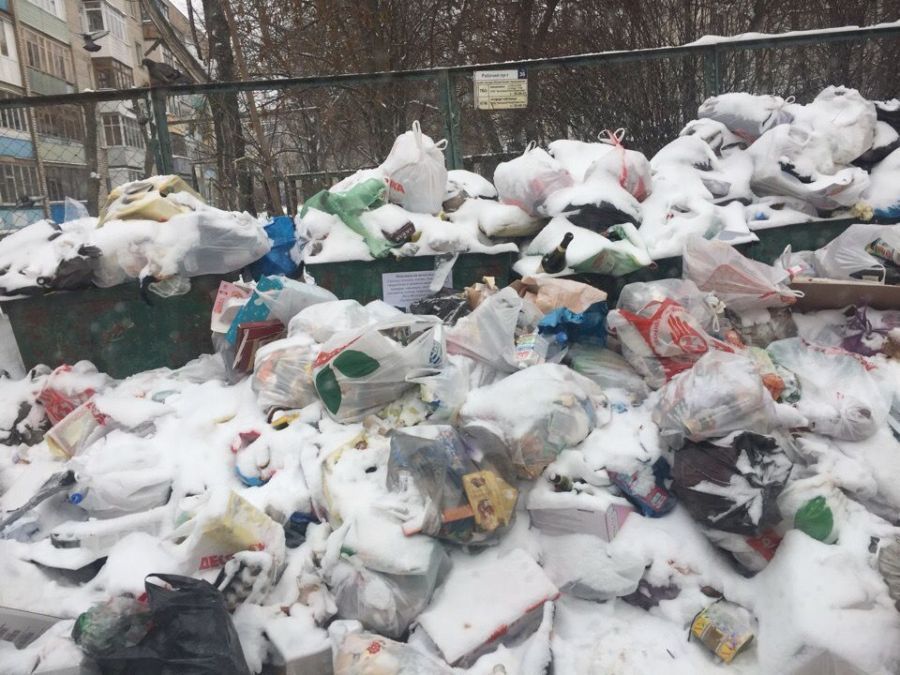 Костромичей просят жаловаться на груды мусора в контейнерах