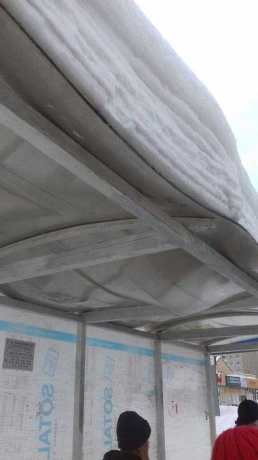 Костромские пассажиры рискуют головой на остановке напротив РИО