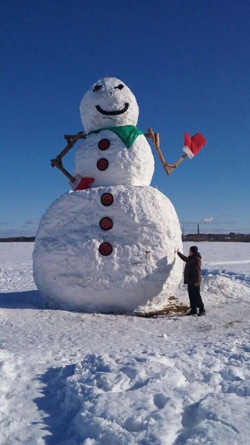 7-метровый снеговик в костромском поле стал местом паломничества