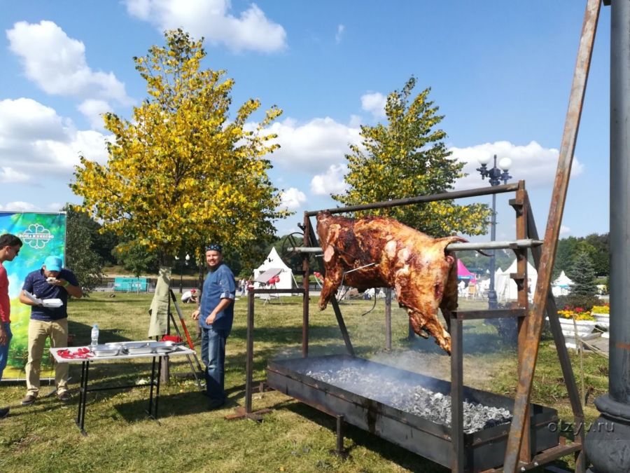 Фестиваль сыра в Костроме перебрендируют в фестиваль вкусной еды