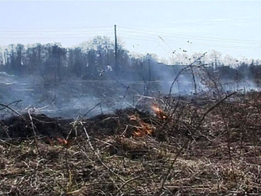 На огонек: в Костромской области начали поджигать траву