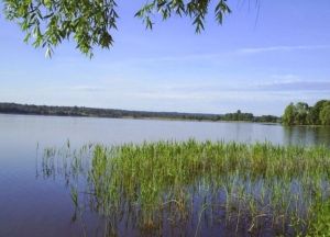Некрасовское озеро в Костроме переименуют по распоряжению Медведева