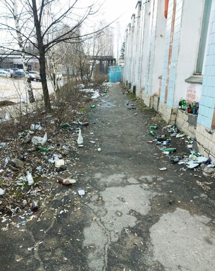 Костромичи признали себя свиньями из-за жуткого мусора на улице