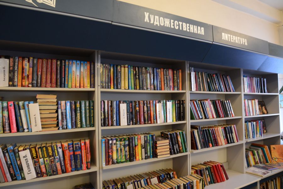 Власть тьмы: в Костромской области резко упало число библиотек и книг