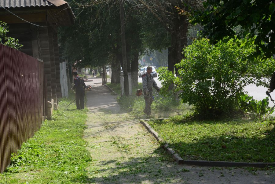 Покос травы в Костроме обойдется в 4 миллиона