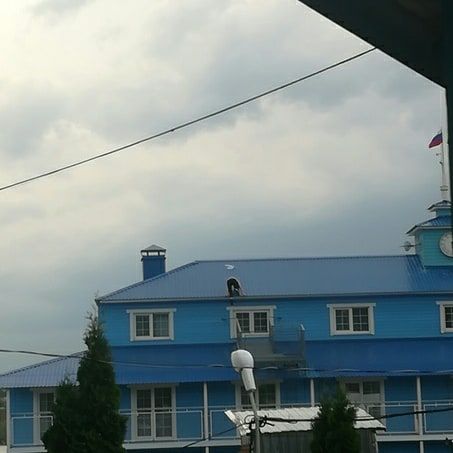 В День победы костромич спрыгнул в Волгу с крыши ресторана — и остался жив