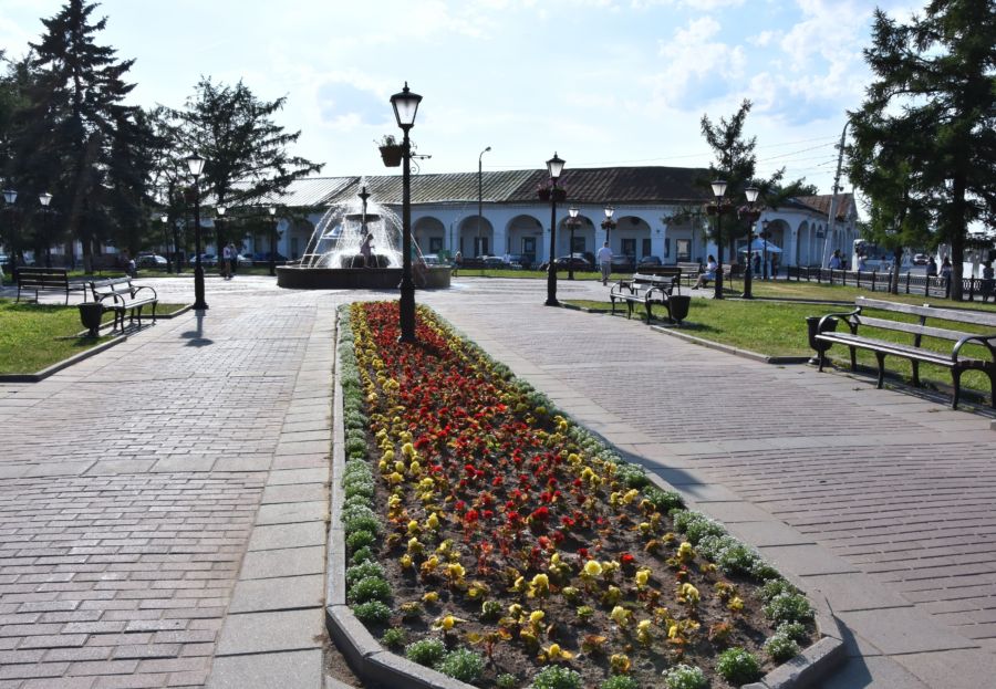 Кострому в этом году засадили цветами за миллион рублей