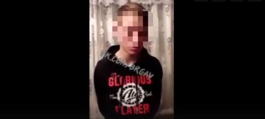 В Костромской области будут судить убийцу котят