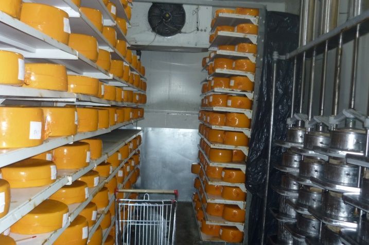 Костромской сыр делали в кошмарных условиях