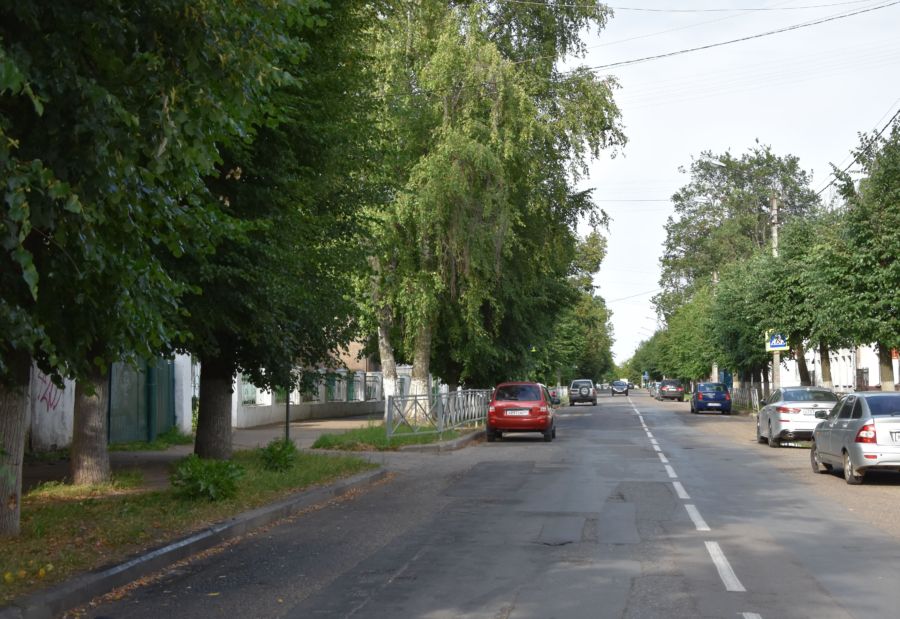 Центр Костромы засадят новыми деревьями