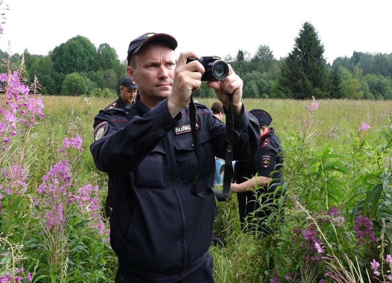 Костромские полицейские обнаружили огромную плантацию конопли