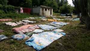 Груды матрасов на траве в Костроме озадачили горожан