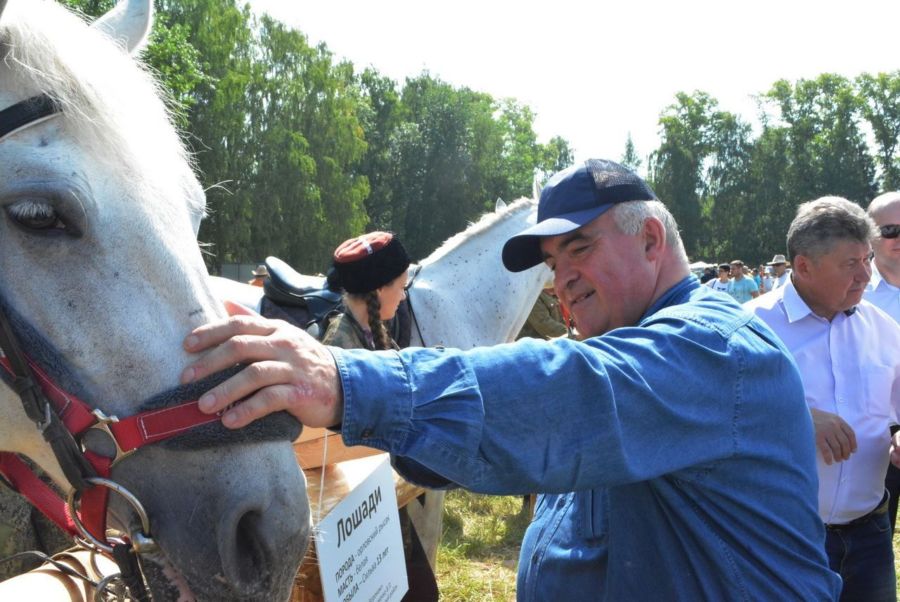 Костромской губернатор в стильной джинсе погладил лошадок
