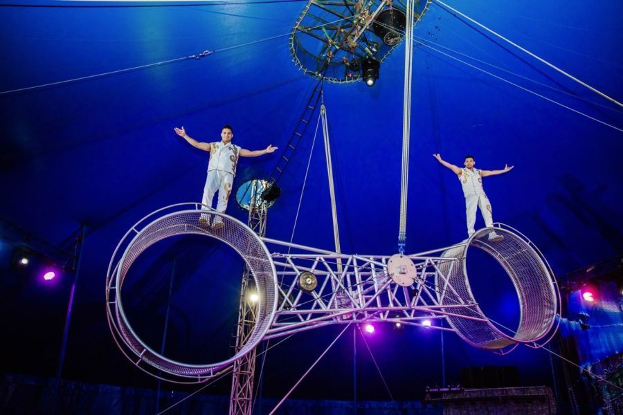 В Костроме с аншлагами проходят гастроли цирка «ИМПЕРИАЛ» из Санкт-Петербурга