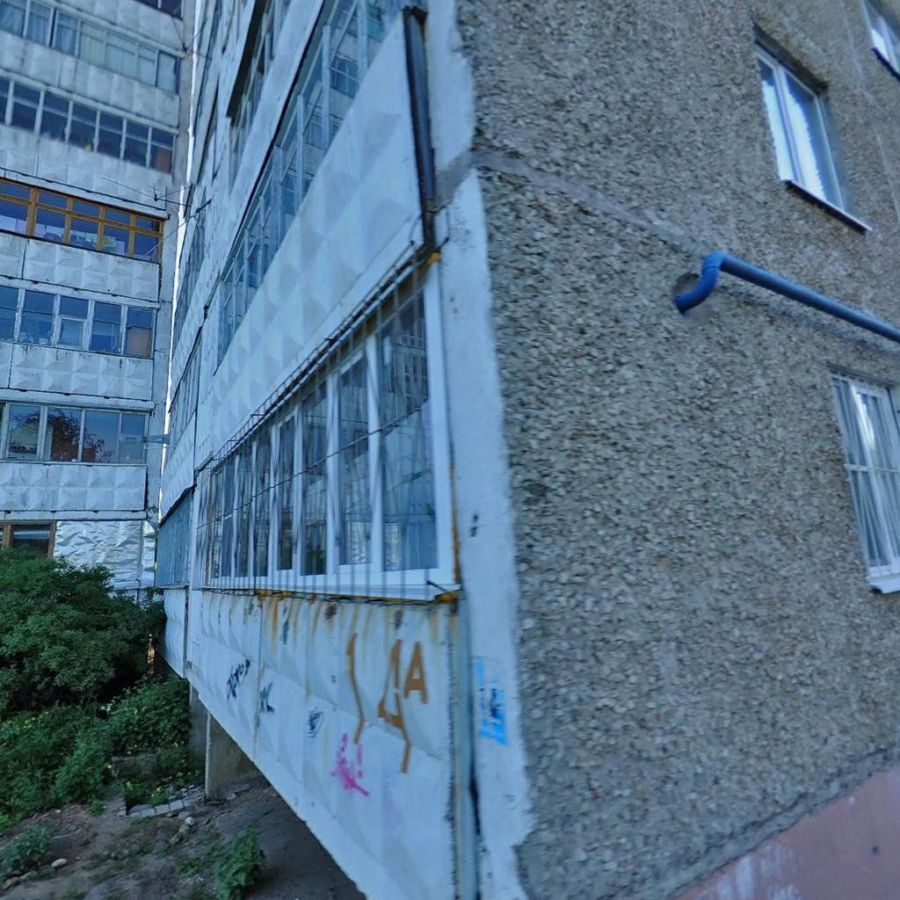 Белого кота сбросили в Костроме из окна многоэтажки