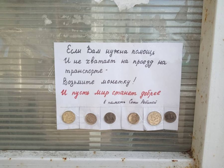 Монетки в память об умершей от рака Соне Рыбиной появились в Костроме