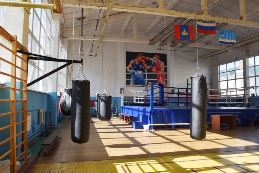 Костромские боксеры получат  массу всего ценой в  миллион рублей