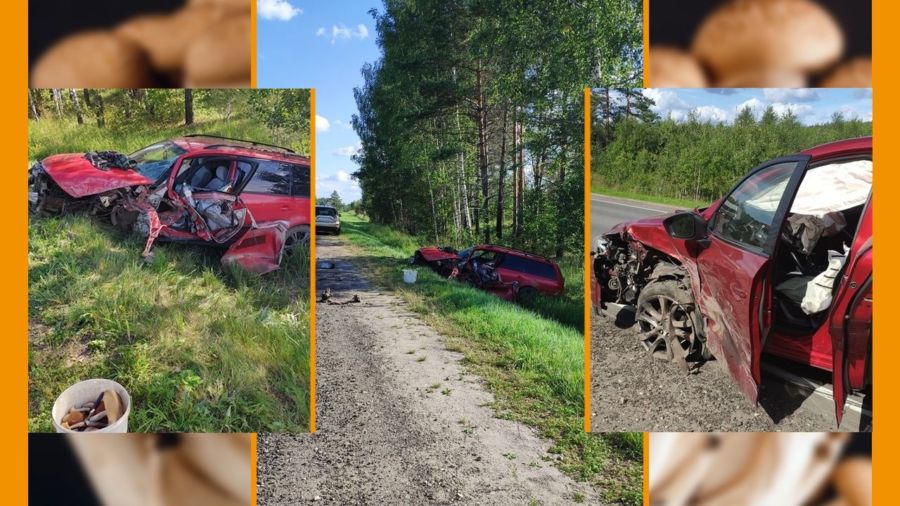 Любовь костромича к грибам обернулась автокатастрофой