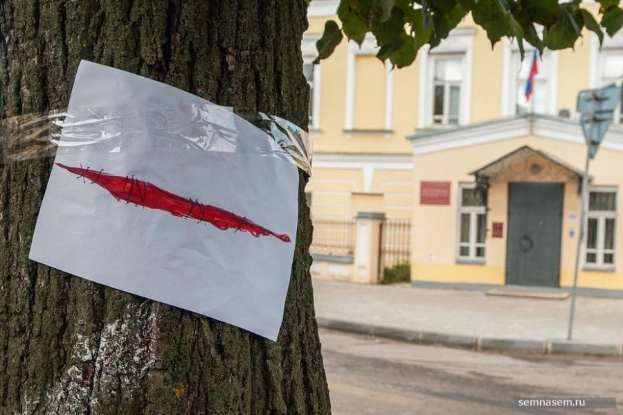 Липы в центре Костромы пугают страшными ранами
