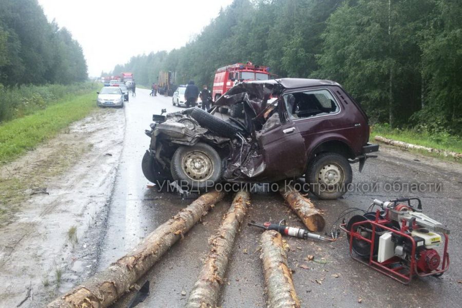 Два человека погибли на костромской трассе под брёвнами лесовоза
