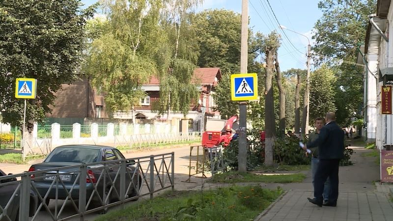 Улицу Шагова после ремонта дороги превратят в улицу-сад