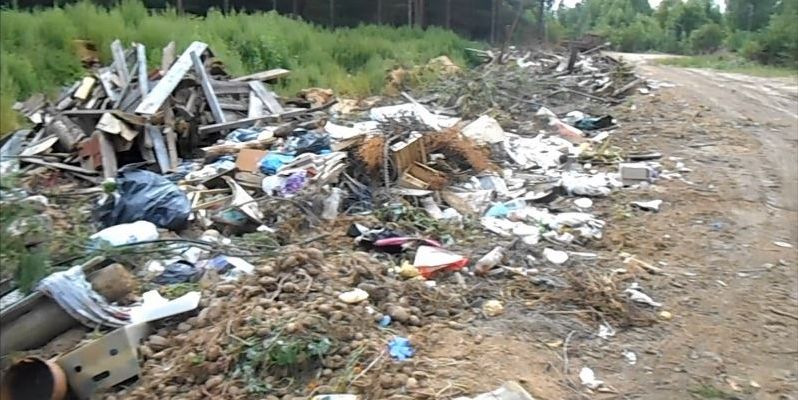 Костромская область утонула в стихийных свалках