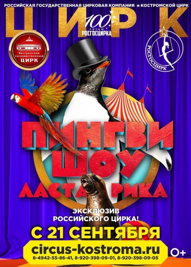 Костромичей приглашают на удивительное шоу с пингвинами в Костромском цирке