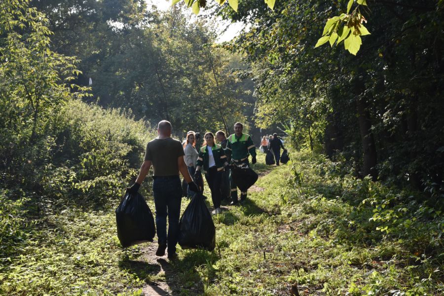 Костромичи очистили от мусора дорогу от центра до Ипатьевского монастыря