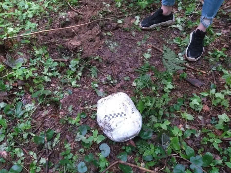 В костромском лесу нашли ассорти наркотиков весом 2,5 килограмма