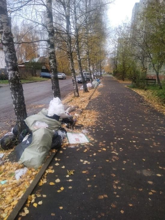 Жители одного из домов в Костроме устроили свалку под окнами