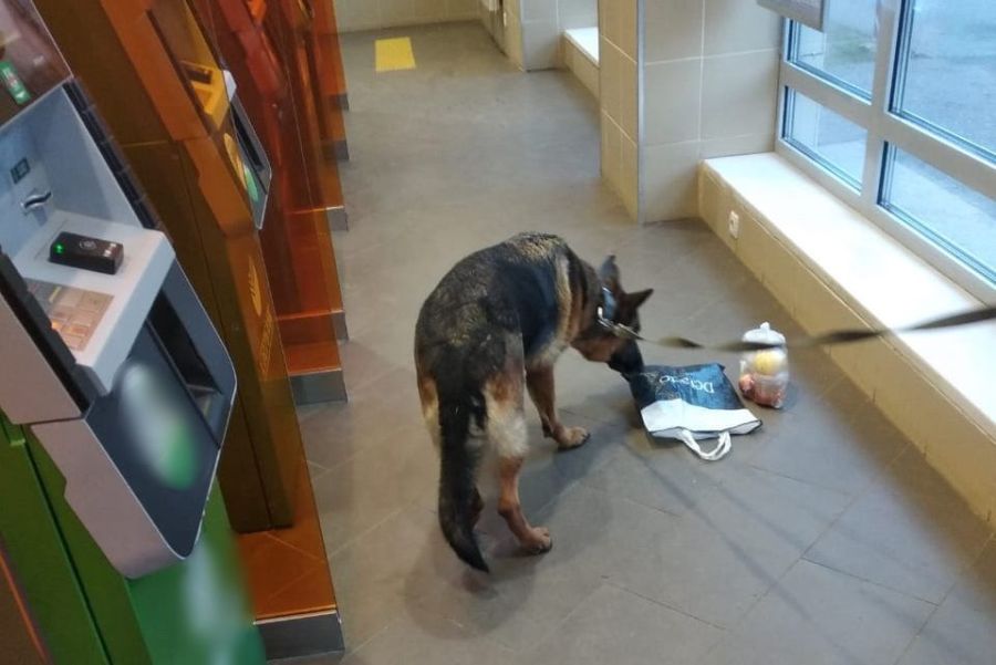 ОМОН с собаками ворвались в отделение банка Костромы