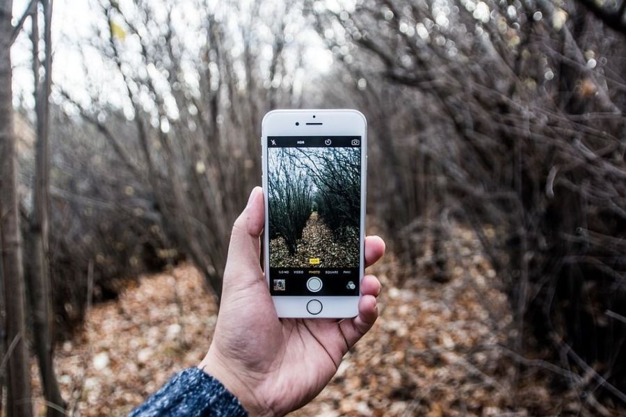 МТС запустила 4G в маленьких деревнях и селах Костромской области