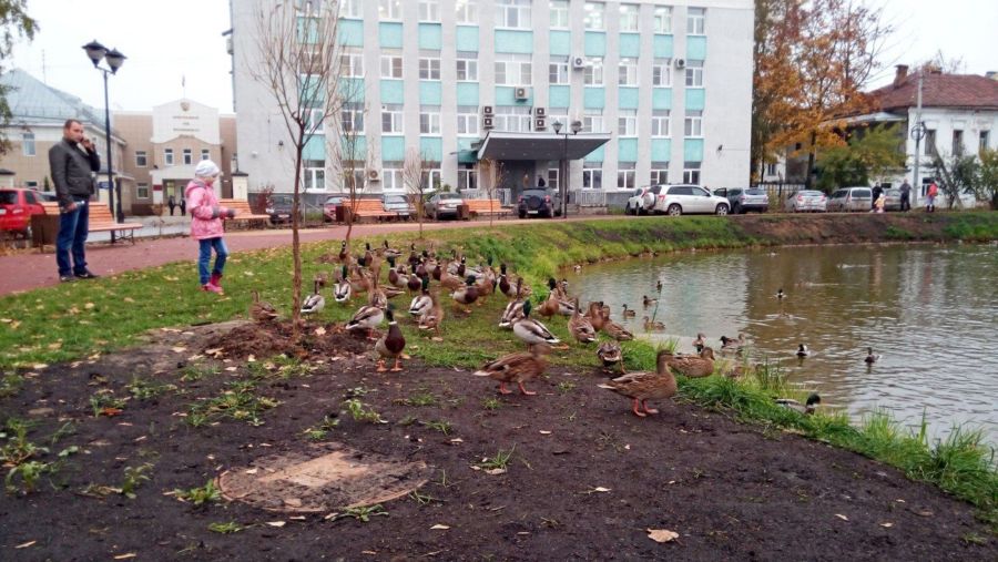Костромичей начали отгонять от покрытых коркой льда рек и озер