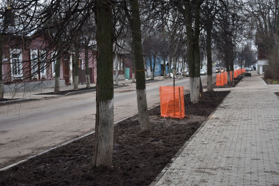 На улице Шагова в Костроме начали сажать деревья