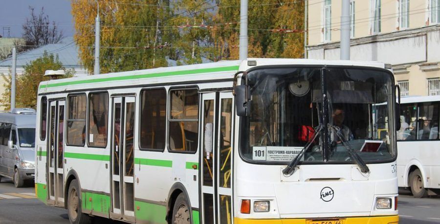 Костромичке пришлось лечить голову после поездки в автобусе