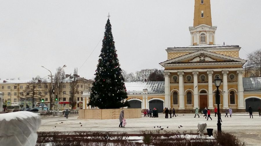 Главная ёлка Костромы стала местом притяжения детей