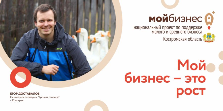 Костромской предприниматель-гусевод может получить 5 миллионов: ему нужна поддержка