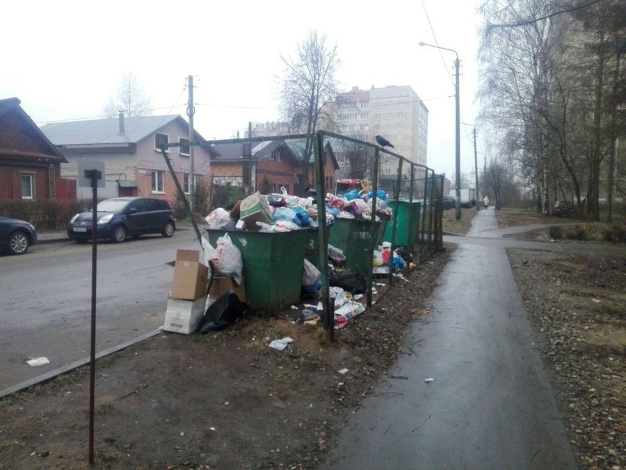 Костромичи в соцсетях соревнуются: у кого мусорные площадки убирают хуже