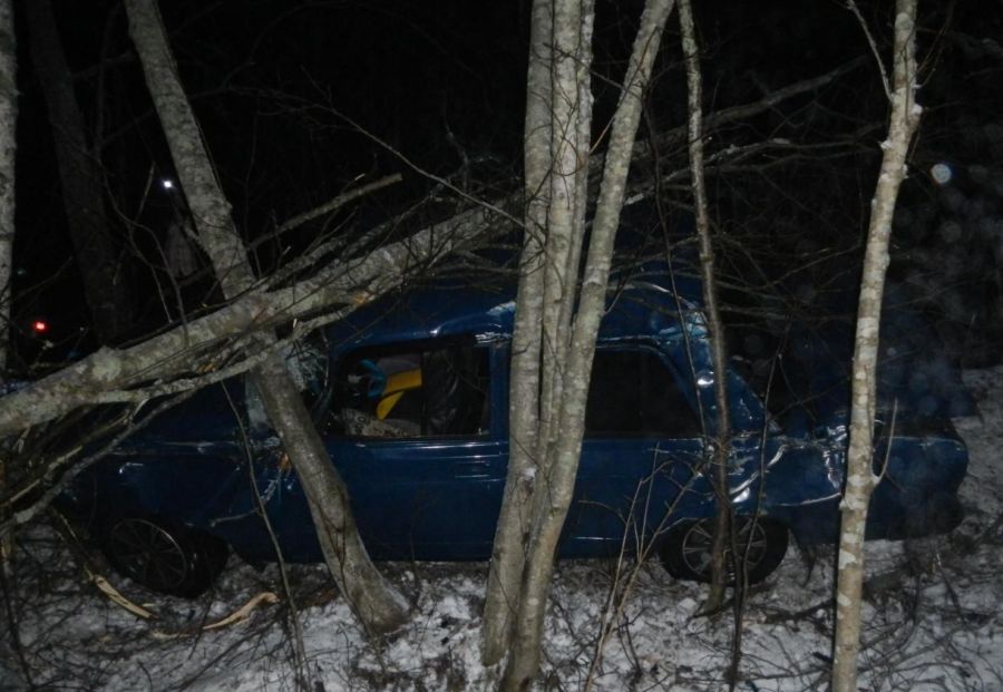 Костромич погиб в страшной аварии с деревом