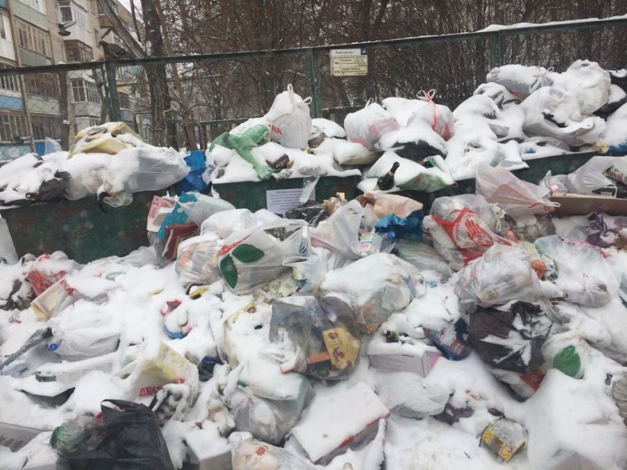 Год Свиньи: почему Кострома заросла новогодним мусором