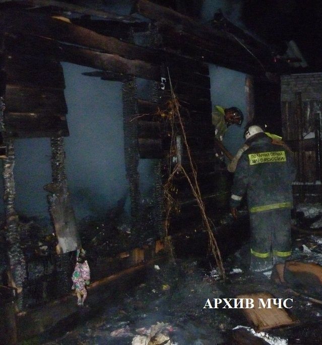 Пенсионер с любимыми собаками сгорел из-за керосиновой лампы в Костромской области