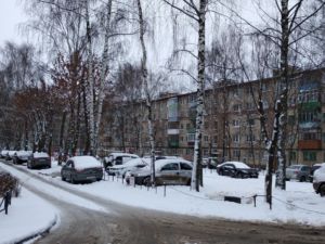 Председатель ТСЖ в Костроме закидал машину жильцов дерьмом в воспитательных целях